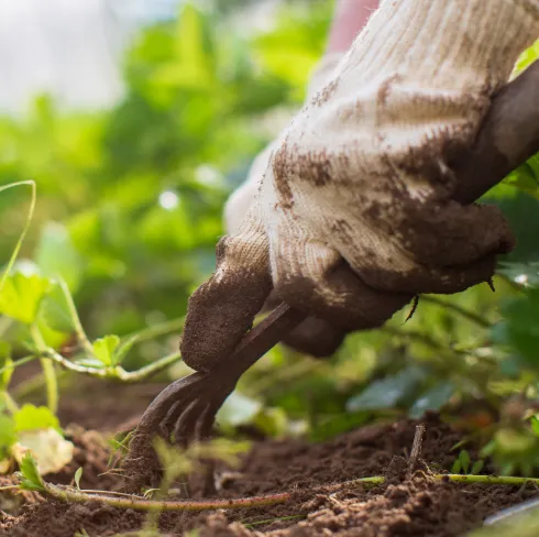 Proceso de reclutamiento