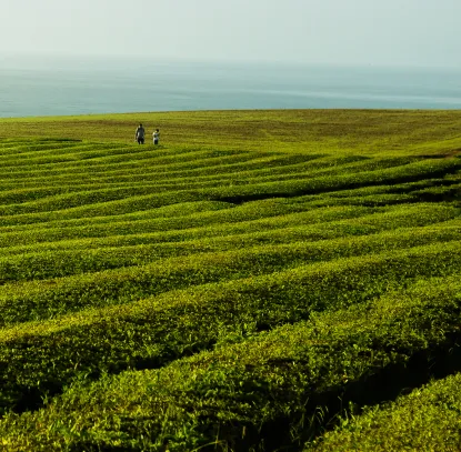 Por qué elegir nuestro directorio