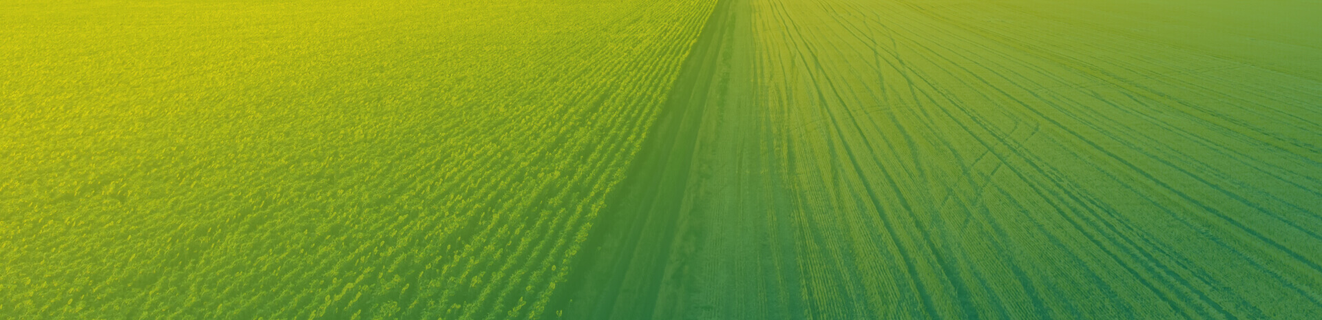 Directorio de empresas